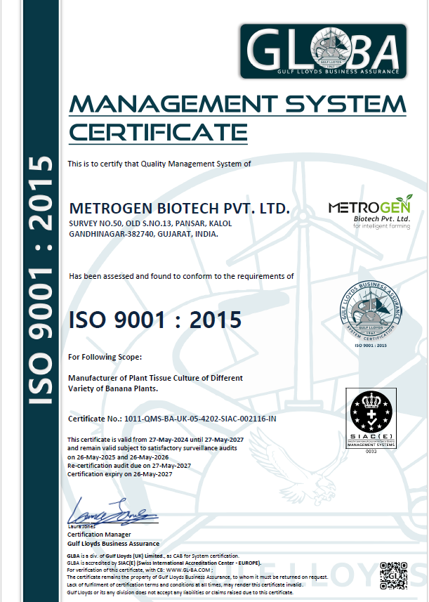 ISO managment System Certificate