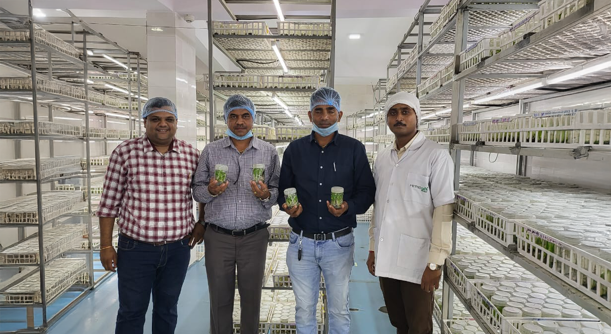 Metrogen Biotech laboratory team showcasing tissue culture banana plants in a DBT-certified facility