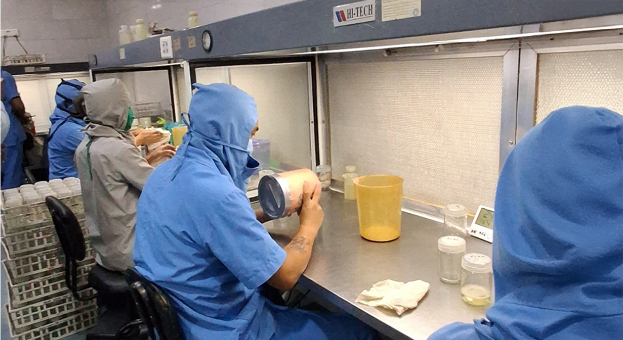 Experienced biotechnologists and trained technicians ensuring high-quality plants with genetic integrity