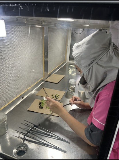 Modern plant tissue culture infrastructure with aseptic labs, growth chambers, and greenhouses at Metrogen Biotech